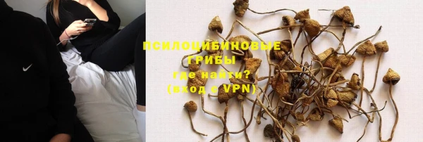 СК Белокуриха