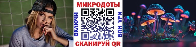 как найти   Володарск  Галлюциногенные грибы Psilocybine cubensis 